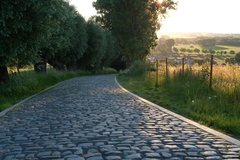 Natural landscape, Activities, Hiking, Cycling