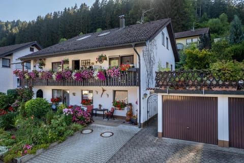 Ferienwohnung Schwarzwälder Apartment in Ortenau