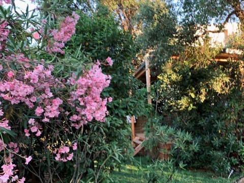 La tiny des îles d’or House in La Londe-les-Maures