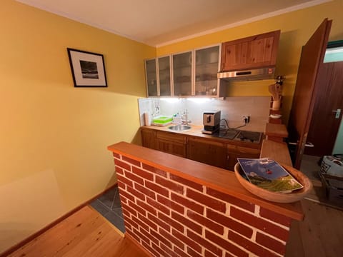 Kitchen or kitchenette, kitchen