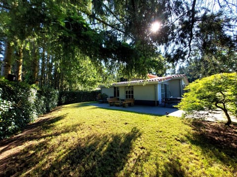 Property building, Garden, Garden view