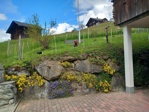 Chalet Pfyffer - Mountain view Apartment in Grindelwald