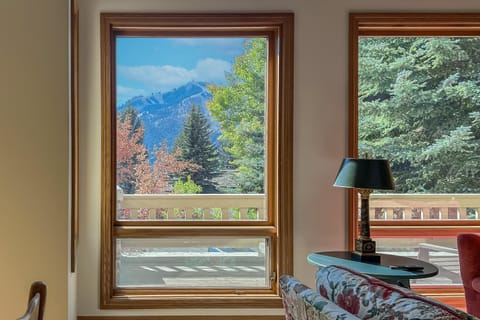 Baldy View Lodge House in Ketchum