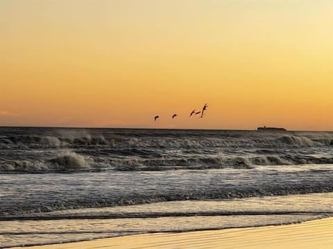 Reduced rate! The Wave of it All Tiki Bar Walk to the beach House in Bolivar Peninsula