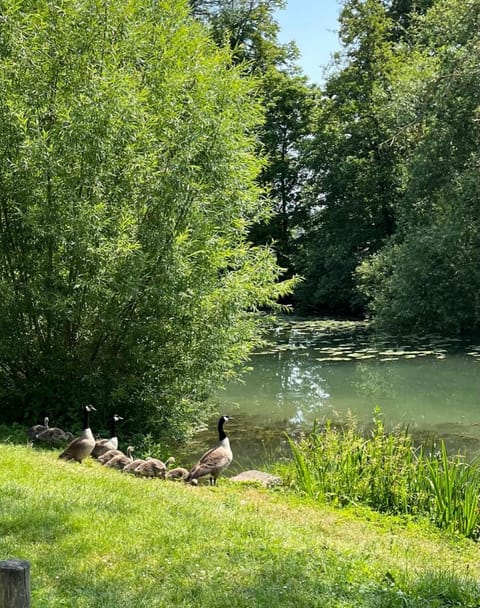 la Belle Seine Copropriété in Fontainebleau