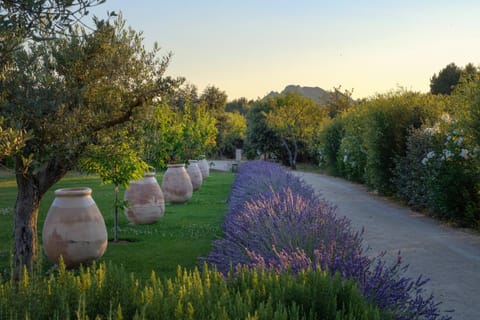 Mas Notre Dame Bed and Breakfast in Provence-Alpes-Côte d'Azur