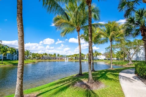 Lake view, River view