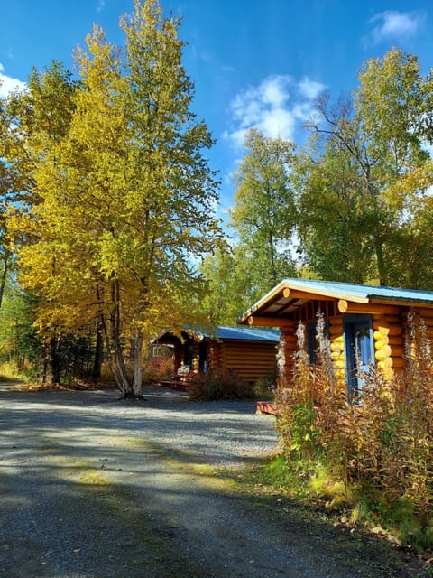 Hatcher Pass Cabins Bed and Breakfast in Alaska