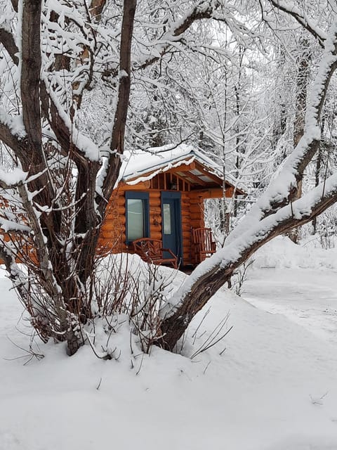 Hatcher Pass Cabins Bed and Breakfast in Alaska