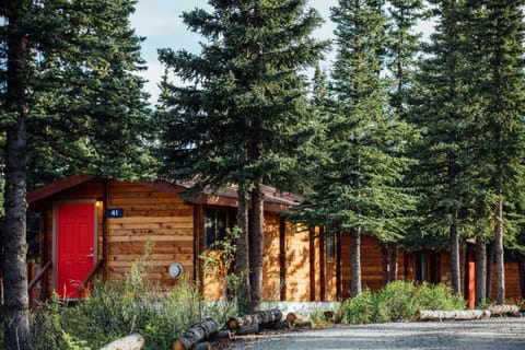 Denali Cabins Lodge nature in McKinley Park