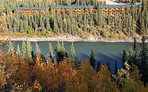 Denali Grizzly Bear Resort Natur-Lodge in McKinley Park