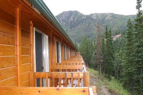Denali Grizzly Bear Resort Nature lodge in McKinley Park