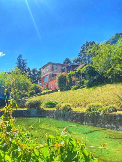 Natural landscape, Garden, Lake view