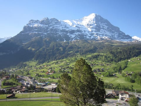 Chalet Aiiny Eigentumswohnung in Grindelwald