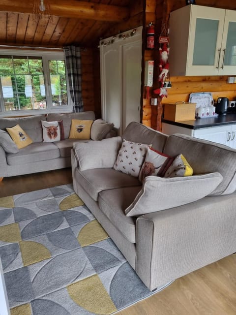 Mountain View Log Cabin - Snowdonia House in Trawsfynydd