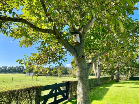 Garden, Garden view