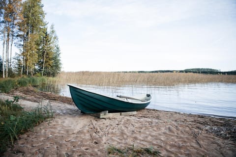 Natural landscape, Beach, Lake view