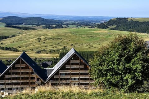 Appartement 2 pièces, les Chalets de Super-Besse Apartment in Besse-et-Saint-Anastaise