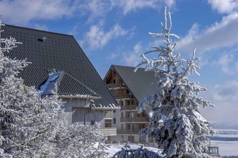 Appartement 2 pièces, les Chalets de Super-Besse Apartment in Besse-et-Saint-Anastaise