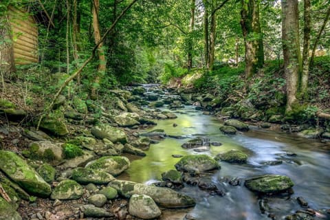 Firefly Creek House in Gatlinburg