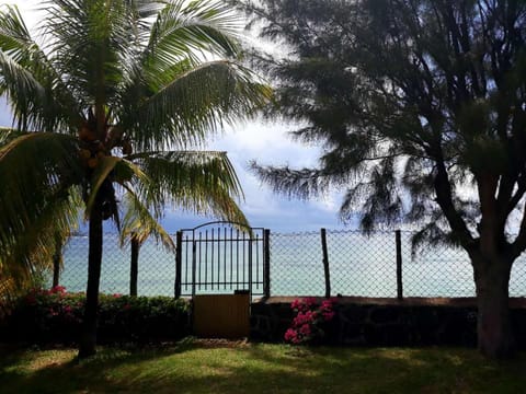 Garden, Sea view