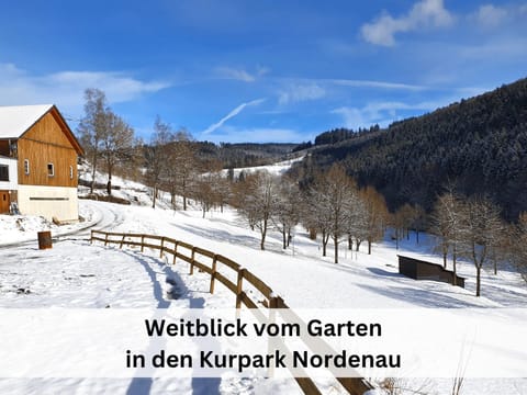 Natural landscape, Winter, Mountain view