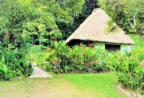 Property building, Natural landscape, Garden view