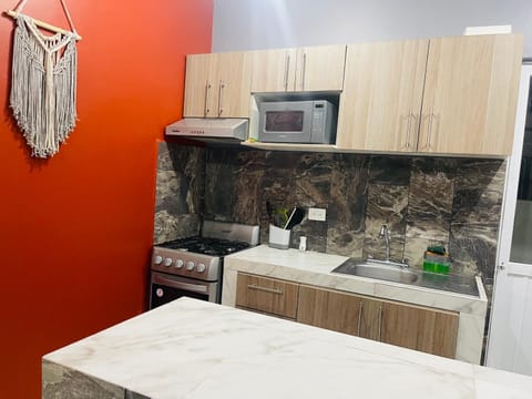 Kitchen or kitchenette, minibar, pet friendly