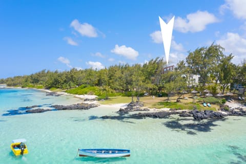 Natural landscape, Beach, Location