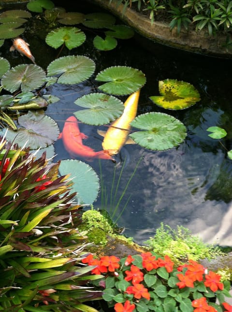 The Secret Garden Room Haus in Kauai