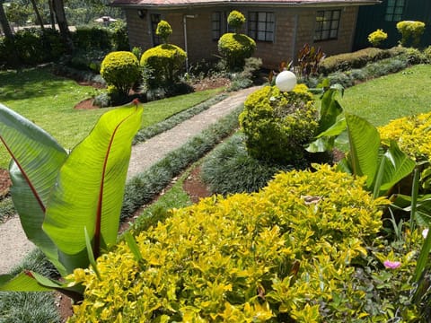 Zoe Homes 1br and 2br Cottage own compound -Kericho town near Green Square mall House in Kenya