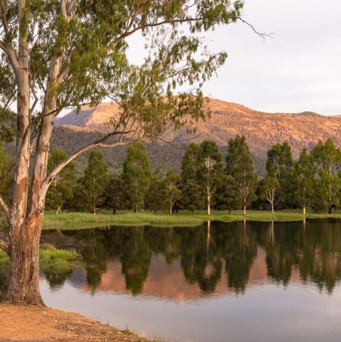 Valley Views Wohnung in Myrtleford