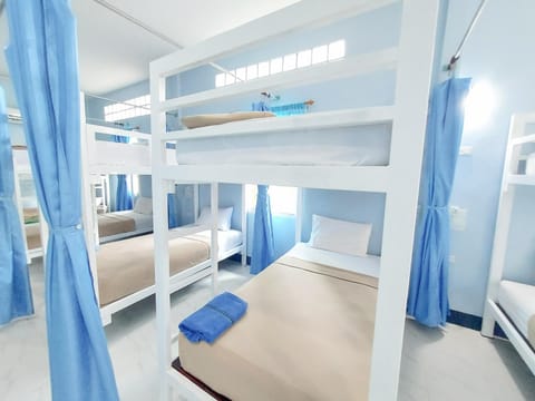 Property building, Bed, Photo of the whole room, Bedroom, bunk bed
