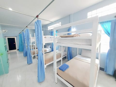 Bed, Photo of the whole room, Bedroom, bunk bed