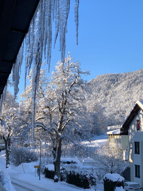 Winter, Mountain view