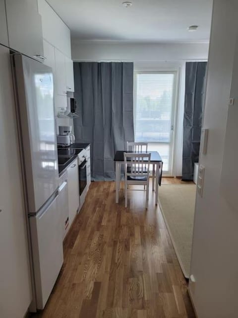 Professori Apartment in Finland