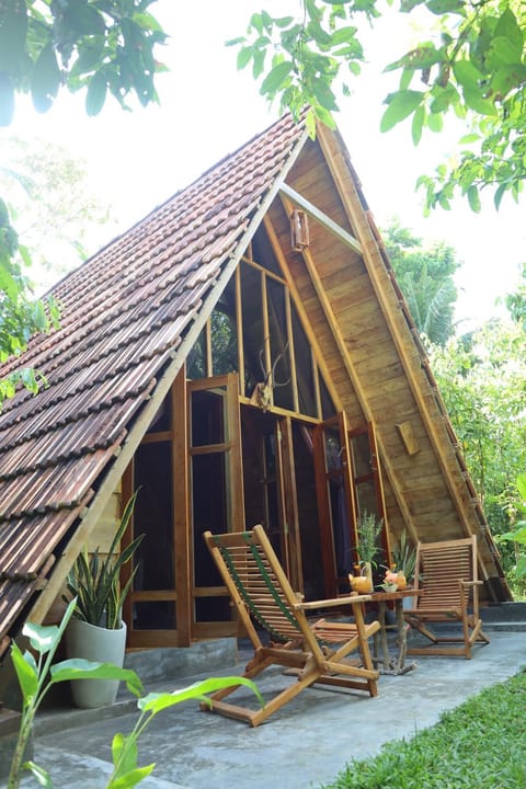 Property building, Garden, Garden view