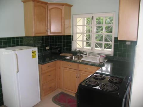 Kitchen or kitchenette, oven, stove