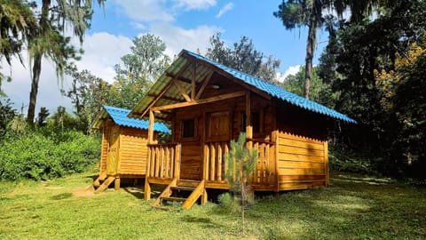 Pinar del Valle - Glamping en el Bosque - Propiedad Completa en Constanza Nature lodge in La Vega Province