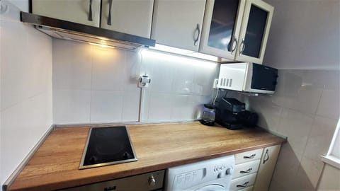 Kitchen or kitchenette, minibar, oven, pet friendly, stove, toaster, washing machine, kitchen