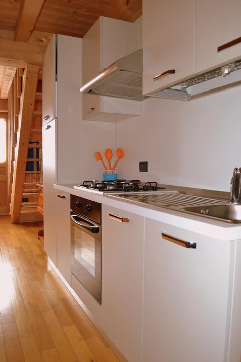 Kitchen or kitchenette, oven, stove