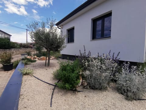 Property building, Garden view