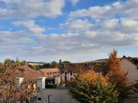 La Loggia superbe appartement Apartment in Epernay