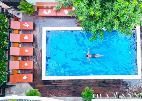 Garden view, Swimming pool, sunbed