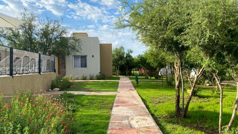 Property building, Natural landscape, Garden, Garden view, Swimming pool