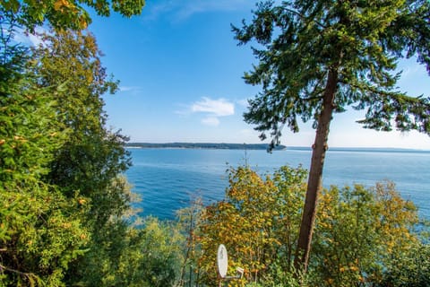 Port Hadlock Luxury Cabin Retreat Awaits you! cabin House in Whidbey Island