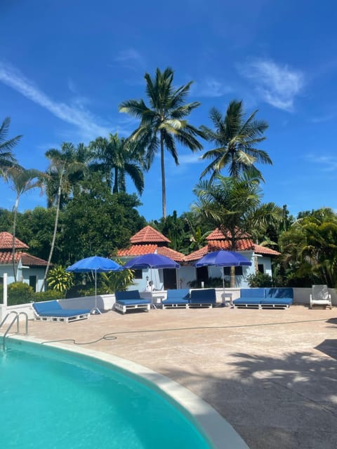 Palms Lounge Cabarete Hotel in Cabarete