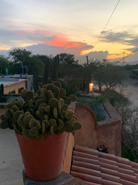 View (from property/room), Balcony/Terrace, Sunrise