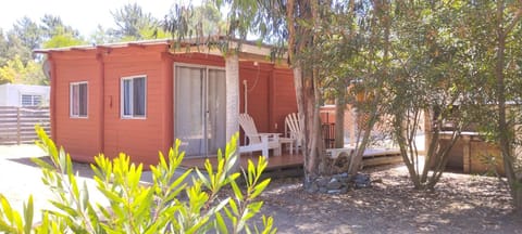 Property building, Garden, Garden view