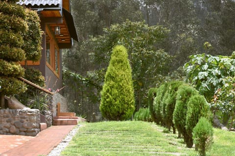 Garden, Garden, Garden view